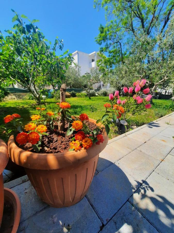 Apartment Noa'S Garden 비빈제 외부 사진
